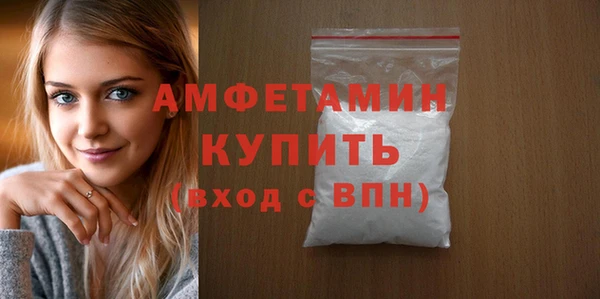 СК Алексин