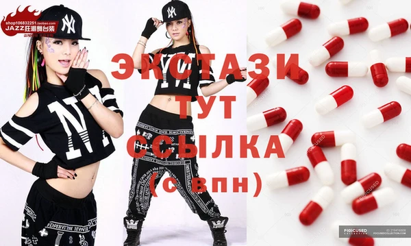 СК Алексин