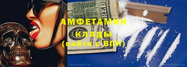 СК Алексин