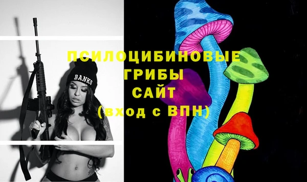 СК Алексин