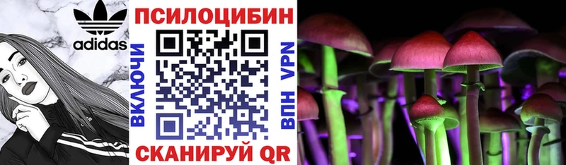Галлюциногенные грибы мухоморы  Данилов 